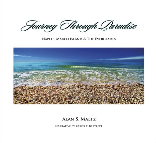 Journey Through Paradise