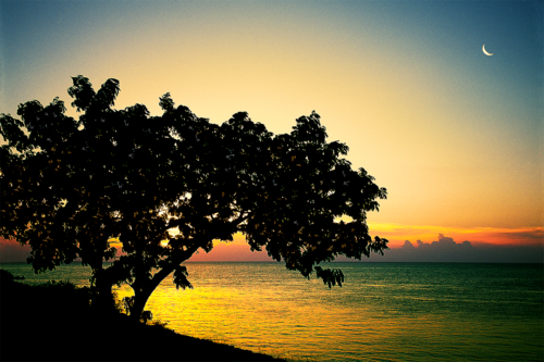 Moonlight Cove Old Florida