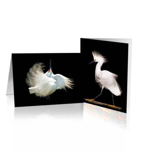 Fine Art Notecard Sets