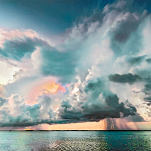 New Releases - Old Florida