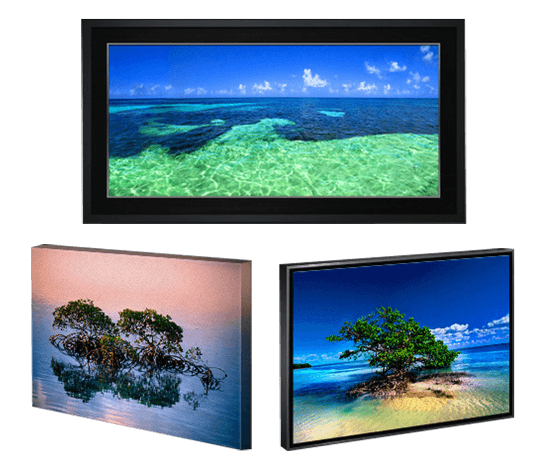 Print Mediums – Canvas Print Mediums - Canvas